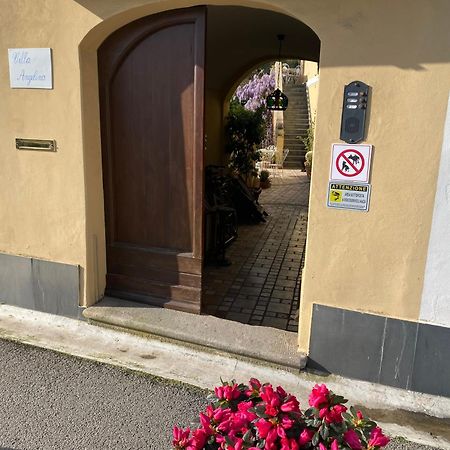 Villa Angelina - Casa Glicine Vallecrosia Zewnętrze zdjęcie