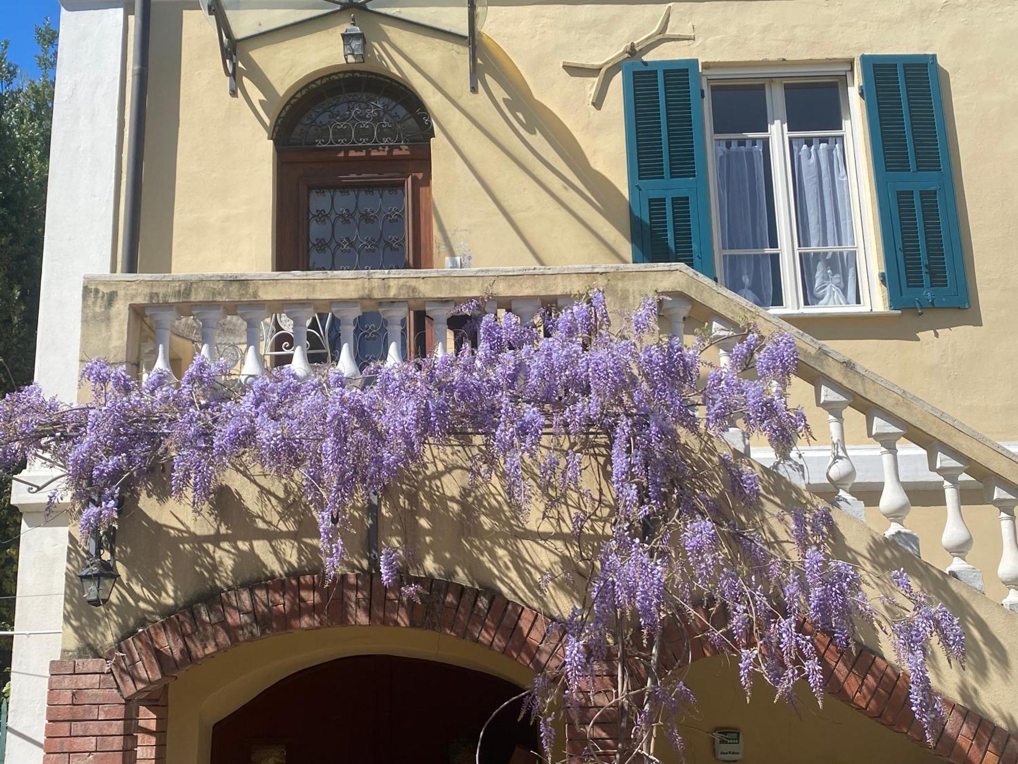 Villa Angelina - Casa Glicine Vallecrosia Zewnętrze zdjęcie